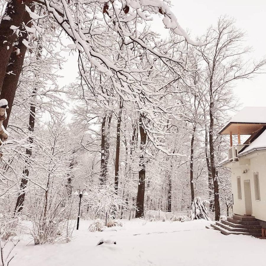 Magnolia Hotel Nagykanizsa Bagian luar foto